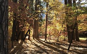 Yosemite Condominium
